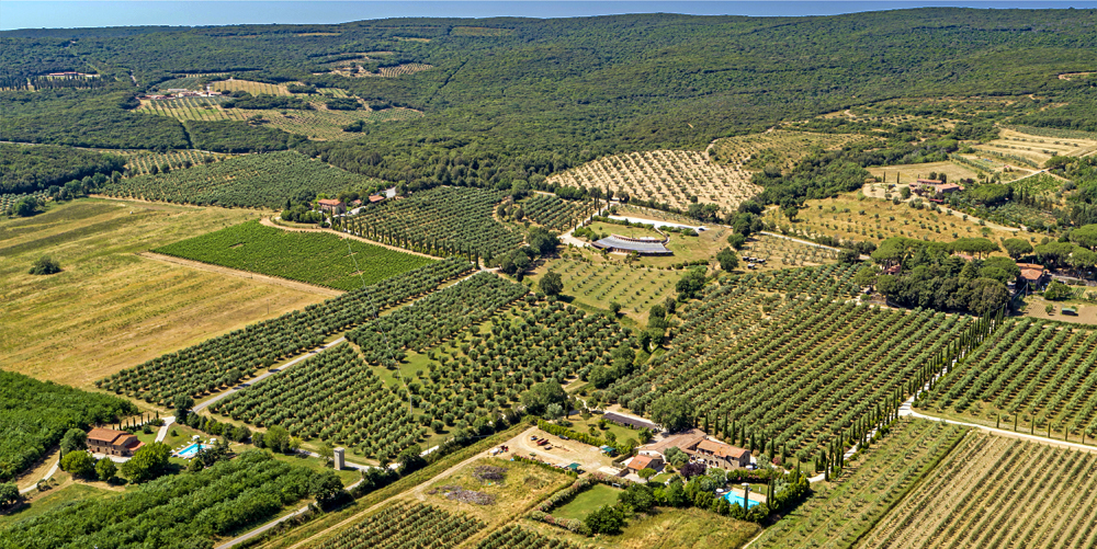 Agriturismo «Tenuta il Cicalino & Parco dei Lecci »