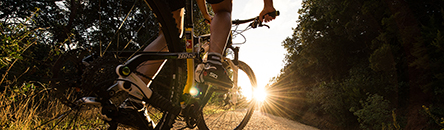 Organisierte und geführte Bikeferien in der Toscana Organisierte und geführte Bikeferien in der Toscana