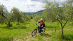 Bikeferien in der Toscana - 2024 Woche 19 - Beat berichtet vom Bike Paradies Toscana