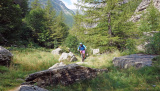 Bike-Enduro im Oberwallis - August 2021 - 3 Tage Enduro im Goms