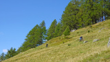 Enduro im Goms - August 2025 - Enduro - Ride hard. Enjoy more.