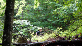 - Mountainbike Fahrtraining
