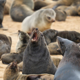 Mountainbike Abenteuer Namibia