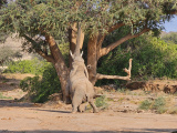 Mountainbike Abenteuer Namibia