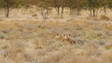 Mountainbike Abenteuer Namibia