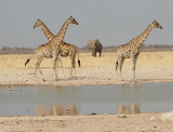 Mountainbike Abenteuer Namibia