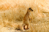 Mountainbike Abenteuer Namibia