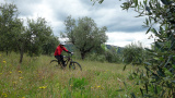 Bikeferien in der Toscana - Wo 20 - Andrea en español