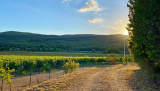 Bikeferien in der Toscana - Woche 38 - Helga in der Toscana