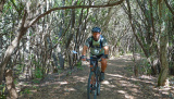 Bikeferien in der Toscana - Woche 38 - Helga in der Toscana