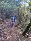 Bikeferien in der Toscana - Woche 38 - Helga in der Toscana