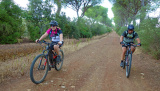 Bikeferien in der Toscana - Woche 38 - Helga in der Toscana
