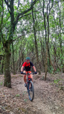 Bikeferien in der Toscana - Woche 38 - Helga in der Toscana