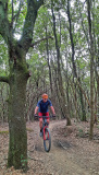 Bikeferien in der Toscana - Woche 38 - Helga in der Toscana