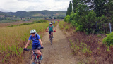 Bikeferien in der Toscana - Woche 38 - Helga in der Toscana