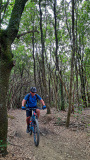 Bikeferien in der Toscana - Woche 38 - Helga in der Toscana
