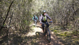 Bikeferien in der Toscana - 2023 Woche 14 - Von Gereiften und dem „ - Uh! - “