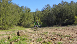 Bikeferien in der Toscana - 2023 Woche 14 - Von Gereiften und dem „ - Uh! - “
