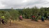 Bikeferien in der Toscana - Woche 37 - Kathrin seid: Scheen isches gsi