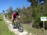 - Benjamin in der Toscana