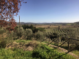 Benjamin in der Toscana