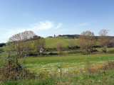 OLYMPUS DIGITAL CAMERA - Bernhard, le welsch