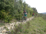 OLYMPUS DIGITAL CAMERA - Bernhard, le welsch