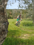 OLYMPUS DIGITAL CAMERA - Bernhard, le welsch