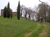 OLYMPUS DIGITAL CAMERA - Bernhard, le welsch