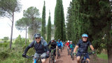 Bikeferien in der Toscana - Regula's Maremma-Bericht