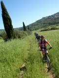 Bikeferien in der Toscana - Regula's Maremma-Bericht