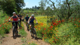 Bikeferien in der Toscana - Regula's Maremma-Bericht