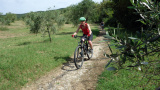 Bikeferien in der Toscana - Fussballer wird Biker