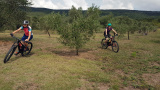 Bikeferien in der Toscana by mtbeer - Martina und ihr BiXS Mariposa