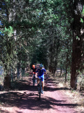 Bikeferien in der Toscana by mtbeer - Martina und ihr BiXS Mariposa