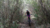 Bikeferien in der Toscana by mtbeer - Martina und ihr BiXS Mariposa