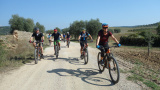 Bikeferien in der Toscana bei mtbeer - Am liebsten auf der hard line