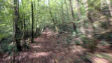 Bikeferien in der Toscana bei mtbeer - Am liebsten auf der hard line
