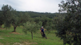 Bikeferien in der Toscana bei mtbeer - Am liebsten auf der hard line
