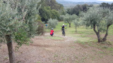Bikeferien in der Toscana bei mtbeer - Am liebsten auf der hard line
