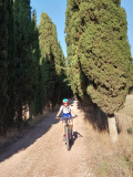 Bikeferien in der Toscana bei mtbeer - Am liebsten auf der hard line