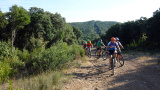 Bikeferien in der Toscana bei mtbeer - Am liebsten auf der hard line