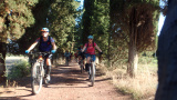 Bikeferien in der Toscana bei mtbeer - Am liebsten auf der hard line