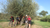 Bikeferien in der Toscana bei mtbeer - Am liebsten auf der hard line
