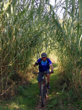 Bikeferien in der Toscana bei mtbeer - Am liebsten auf der hard line