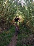 Bikeferien in der Toscana bei mtbeer - Am liebsten auf der hard line