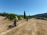 OLYMPUS DIGITAL CAMERA - Inno Knapp - ein mtbeer-Bikefan