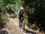 - Inno Knapp - ein mtbeer-Bikefan