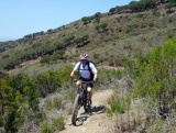 - Inno Knapp - ein mtbeer-Bikefan