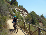 - Inno Knapp - ein mtbeer-Bikefan